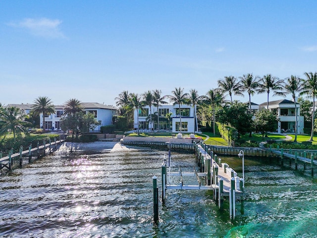 dock area with a water view