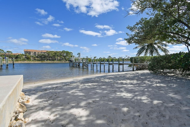 dock area with a water view