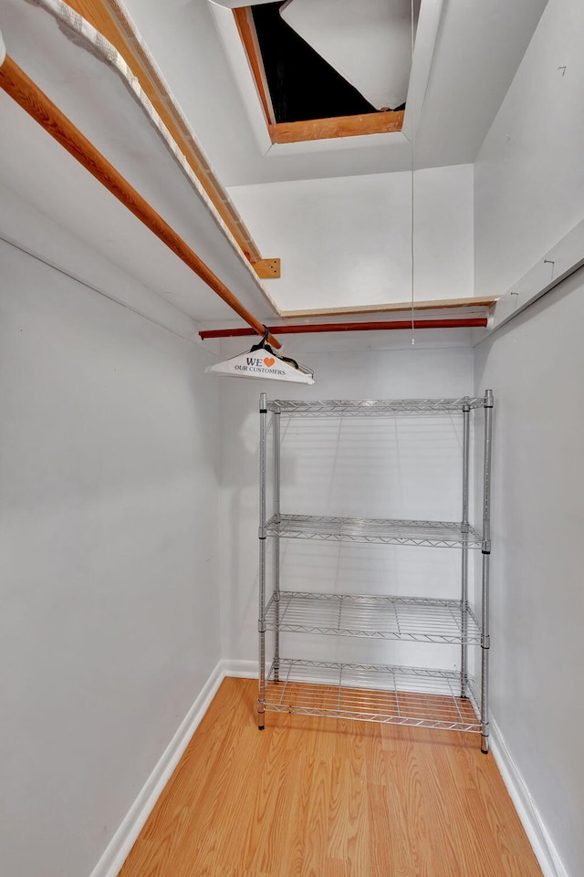 spacious closet with hardwood / wood-style floors