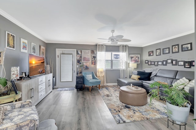 living room featuring wood-type flooring, ceiling fan, and crown molding