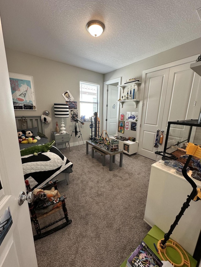 miscellaneous room with carpet floors and a textured ceiling