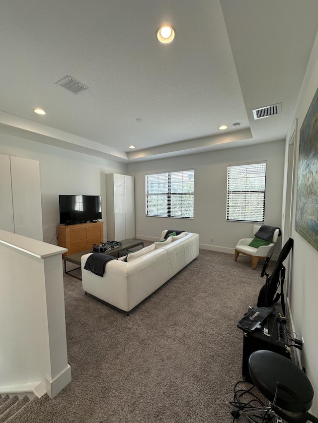 carpeted living room with a raised ceiling