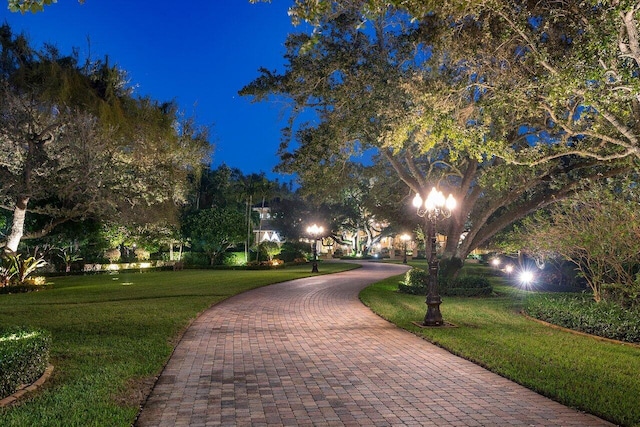 view of home's community with a yard