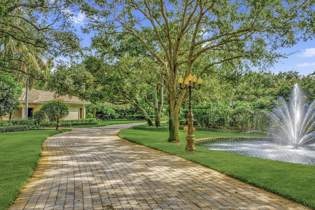 view of property's community featuring a lawn