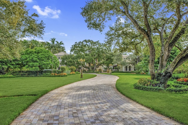 view of home's community with a yard