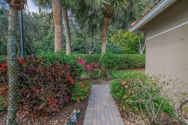 12044 Serafino St, Boynton Beach, FL 33437 - view of yard