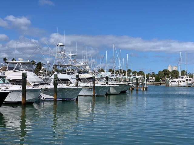 dock area with a water view