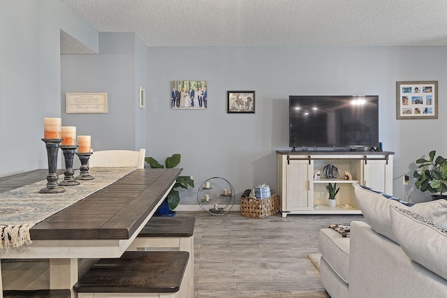 living room featuring hardwood / wood-style flooring and a textured ceiling