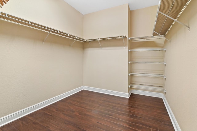 spacious closet with dark wood-type flooring