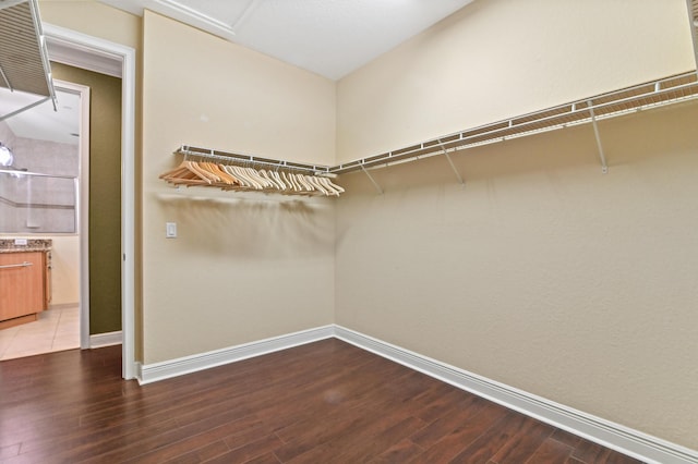 spacious closet with hardwood / wood-style flooring