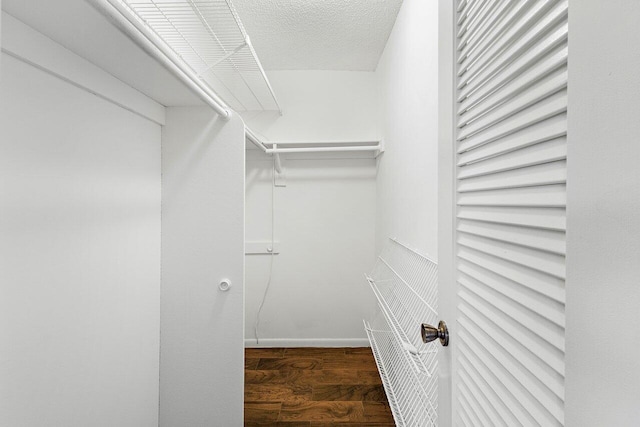 spacious closet featuring dark hardwood / wood-style floors