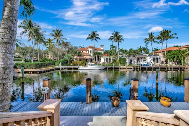 dock area with a water view