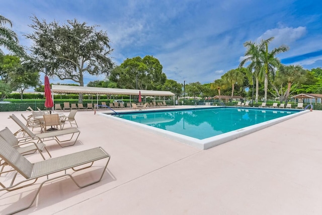 view of swimming pool