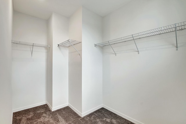 spacious closet featuring dark carpet