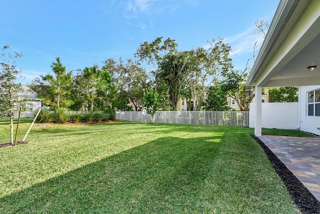 view of yard with a patio area