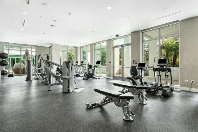 workout area featuring expansive windows and a healthy amount of sunlight