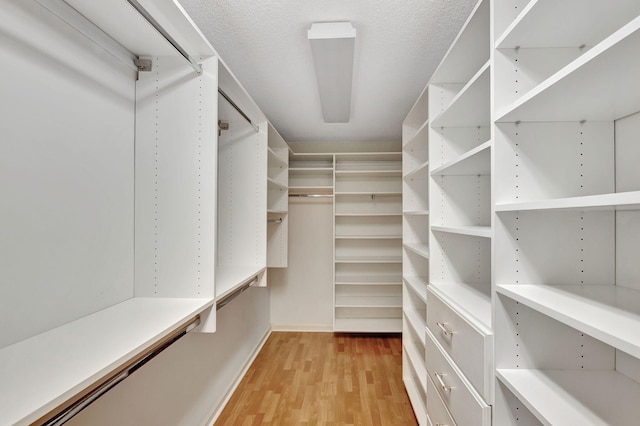 spacious closet with light hardwood / wood-style flooring