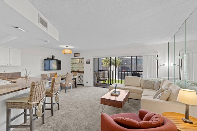 living room featuring light carpet, sink, and a textured ceiling