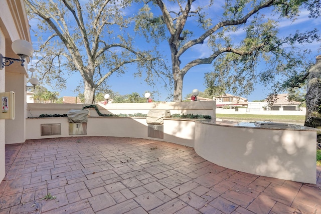 view of patio / terrace featuring area for grilling