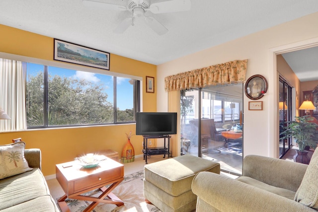 living room with ceiling fan and carpet