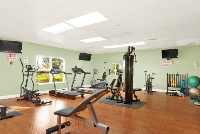 workout area with hardwood / wood-style flooring and a paneled ceiling