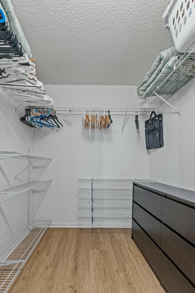 spacious closet with light wood-type flooring