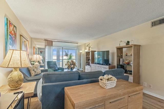 living room featuring hardwood / wood-style floors and a textured ceiling