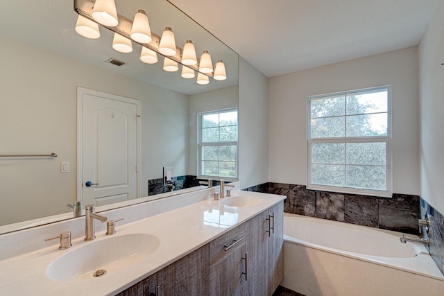 bathroom with a tub, vanity, and a healthy amount of sunlight