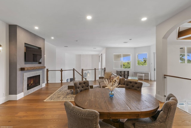 dining space with a large fireplace, a healthy amount of sunlight, and light hardwood / wood-style floors