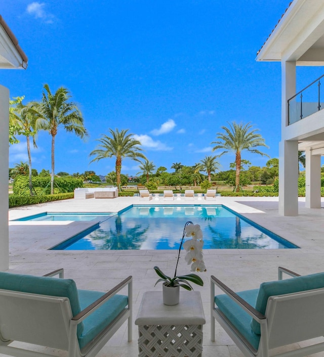 view of pool featuring a patio area