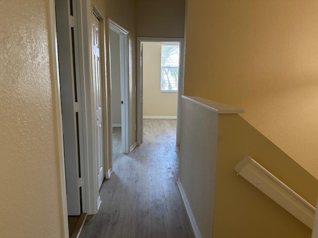 hallway featuring wood-type flooring