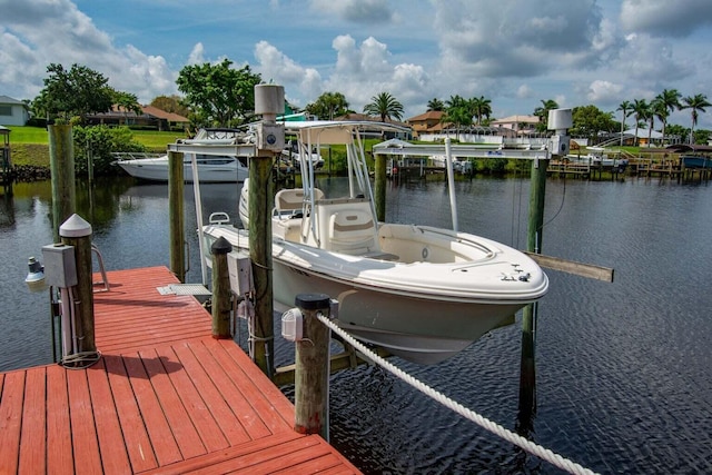 dock area with a water view