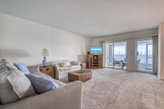 view of carpeted living room