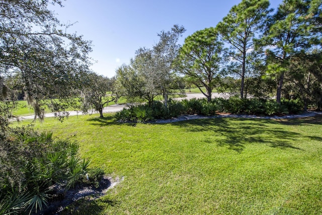 view of grassy yard