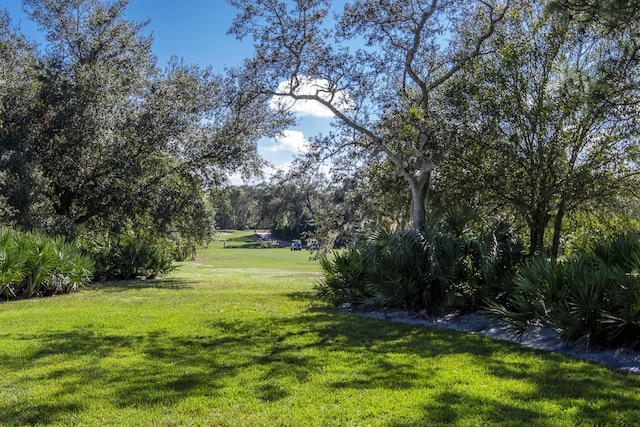 view of green lawn
