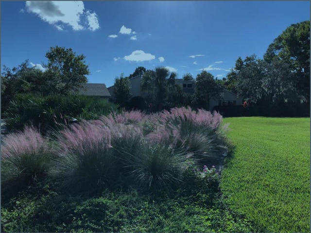 view of green lawn