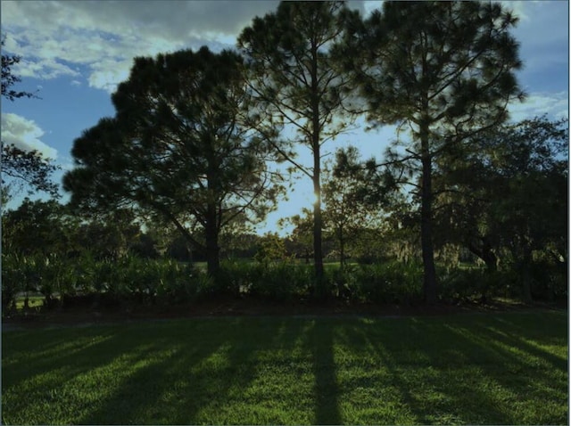 view of grassy yard