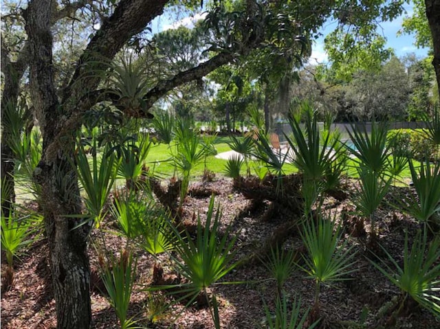view of undeveloped land