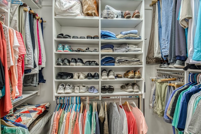 view of walk in closet