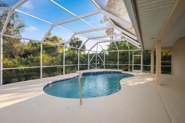 view of pool featuring a lanai and a patio area