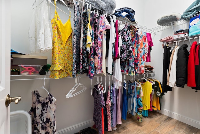 spacious closet with hardwood / wood-style floors