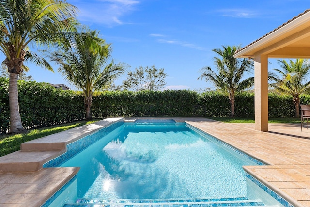 view of swimming pool with a patio area