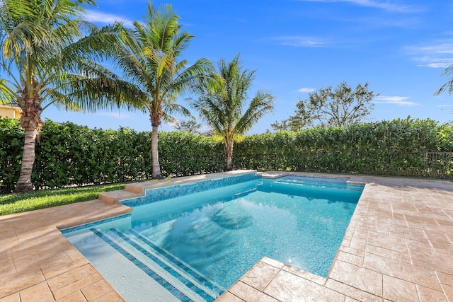 view of pool featuring a patio