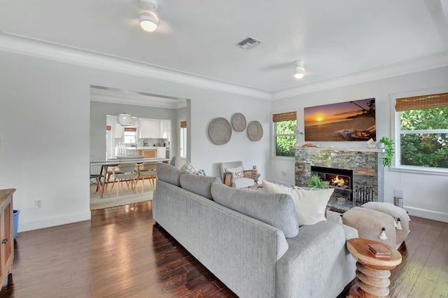 living room with a wealth of natural light, a fireplace, crown molding, and dark hardwood / wood-style floors