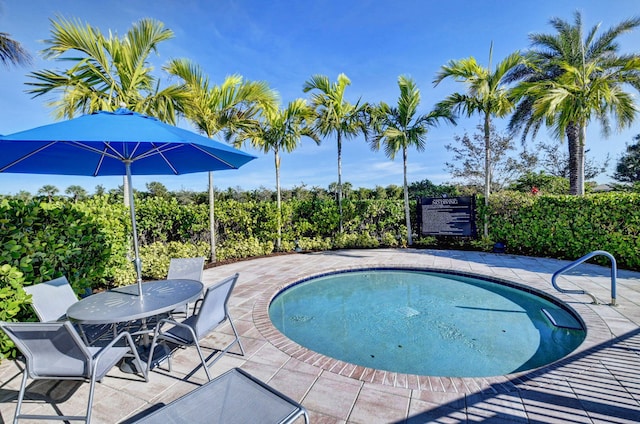 view of swimming pool featuring a patio