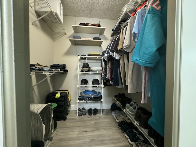 spacious closet with light wood-type flooring