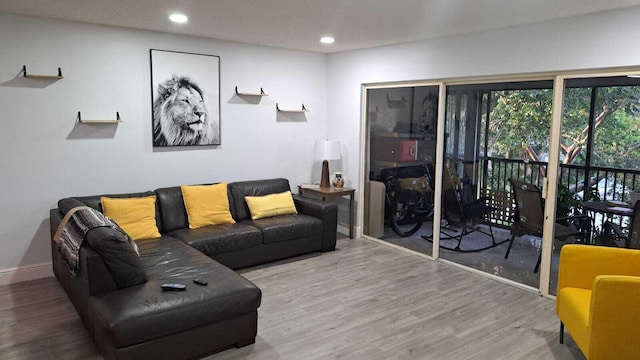 living room featuring hardwood / wood-style flooring