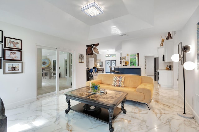 living room featuring a raised ceiling