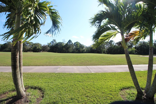 view of home's community with a yard