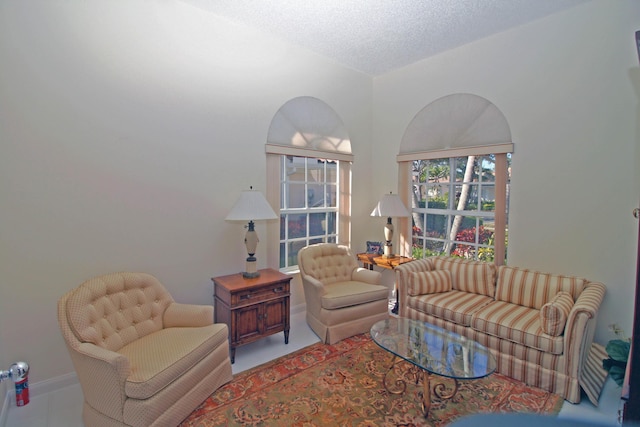 living room with a textured ceiling